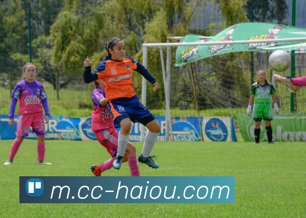 海鸥体育APP 体育赛事宣传图